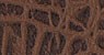 21-CR91 Coccodrillo marrone