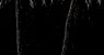 27-CR73 Coccodrillo nero