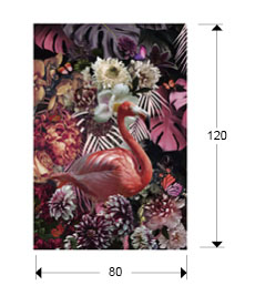 Medidas Flamenco Fotografía 80x120