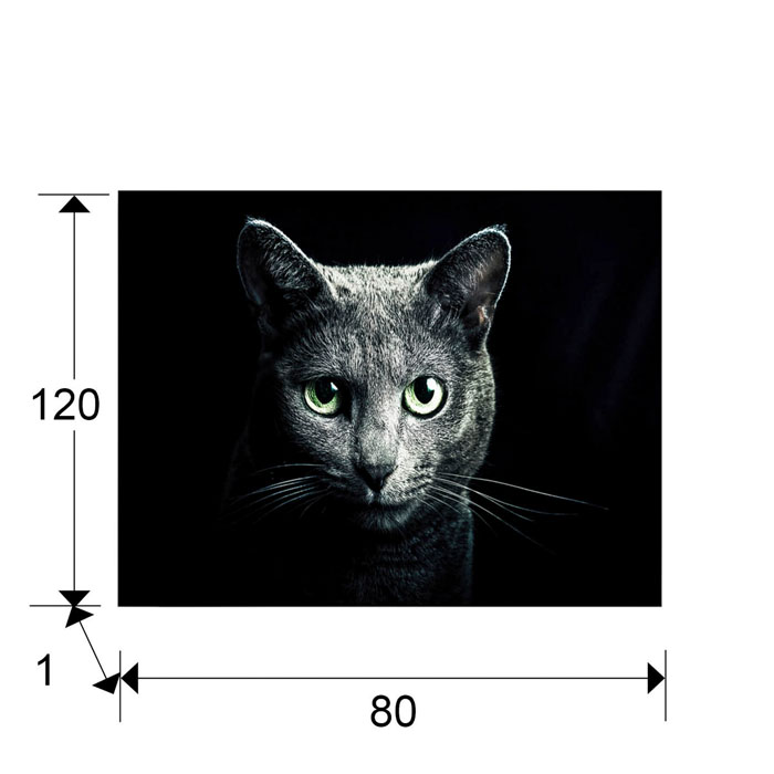 Medidas Fotografía Felino 120x80
