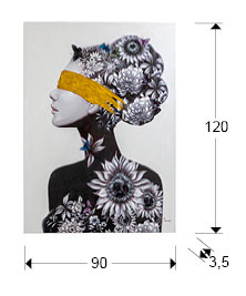 Medidas Acrilico Perfil Ii 90x120