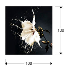Medidas Foto Splash 100x100