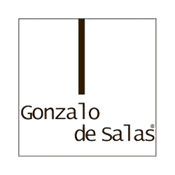 Gonzalo de Salas